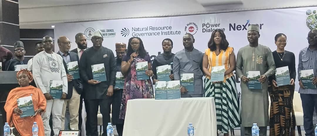 Nigeria’s transition pathway must reflect our development priorities-Council