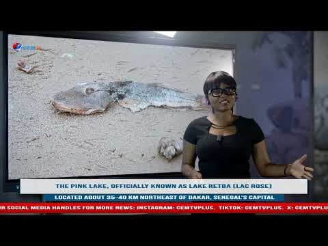 The Pink Lake, officially known as Lake Retba (Lac Rose)