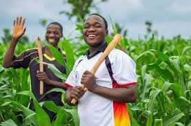 NGO deploys AI tool, biochar to boost farm productivity