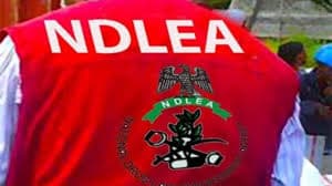 NDLEA re-arrests suspect who allegedly faked death