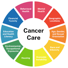 Private sector critical to reducing Nigeria’s cancer burden - NICRAT