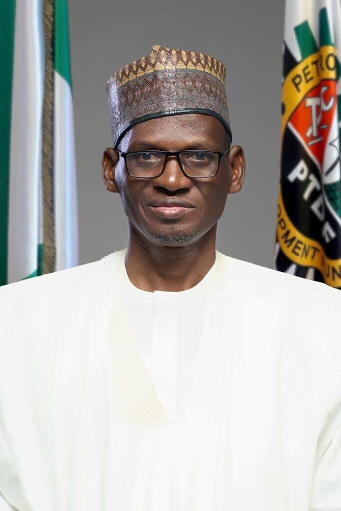 Energy transition demands agile, innovative institutions – PTDF Boss